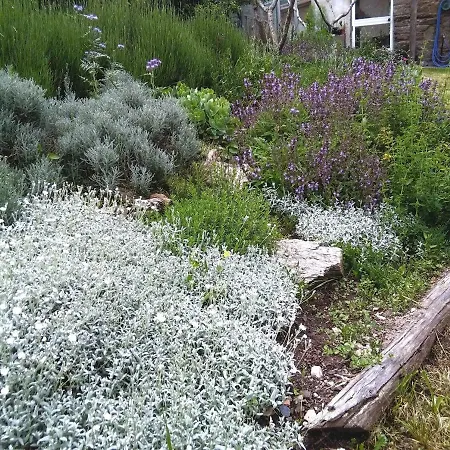 컨트리하우스 Casa Do Solpor *